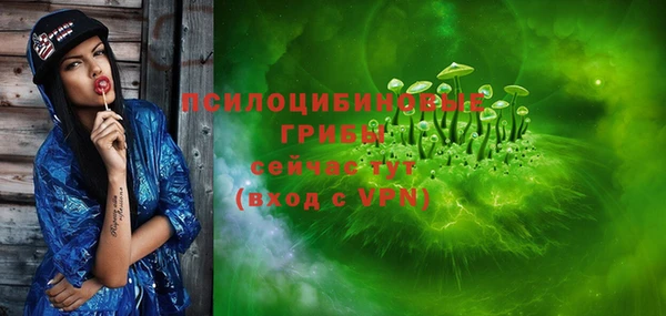 spice Аркадак
