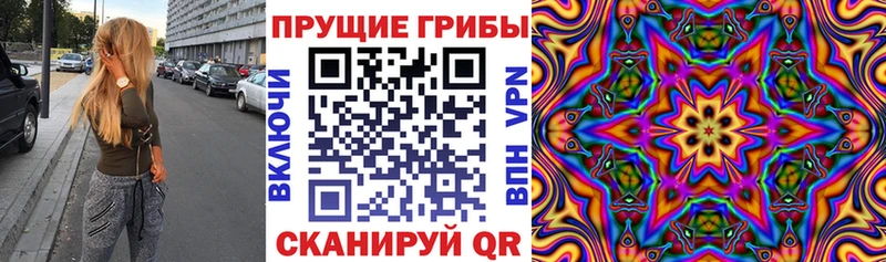 Псилоцибиновые грибы Psilocybe  Пласт 